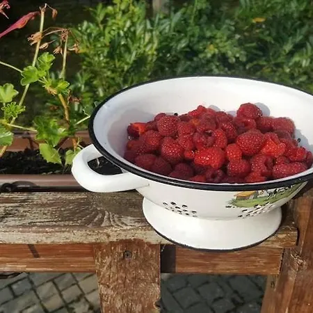 Σπίτι διακοπών Comfortable Holiday In The Countryside Dzier Cin